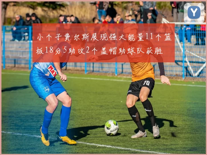 小个子费尔斯展现强大能量11个篮板18分5助攻2个盖帽助球队获胜