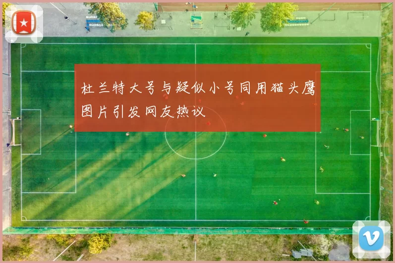 杜兰特大号与疑似小号同用猫头鹰图片引发网友热议